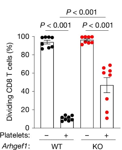 Open access visualization of Bar Plot, Error Bars, Scatter Plot, Proliferation, Wild-Type CD8+ T Cells