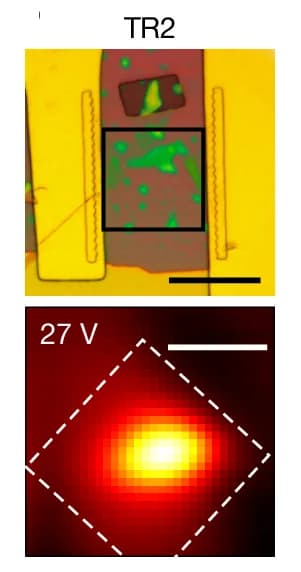 Open access visualization of Microscopy, Mid-Infrared Signal, Spatial Scan, Graphene Channel, Electrodes