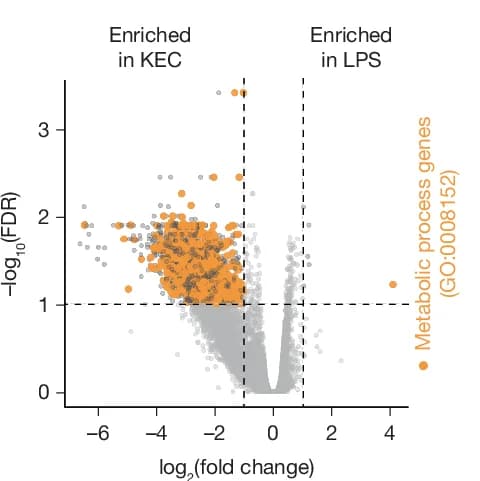 Open access visualization of Scatter Plot, Gene Expression, RNA Sequencing, Macrophages, Metabolic Process
