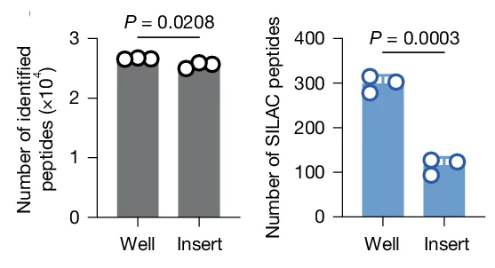 Open access visualization of Bar Plot, Scatter Plot, Macrophages, Peptides, BMDMs
