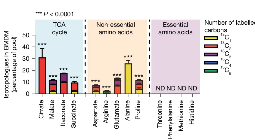 Open access visualization of Bar Plot, Stacked Bar Plot, Error Bars, Metabolites, BMDMs