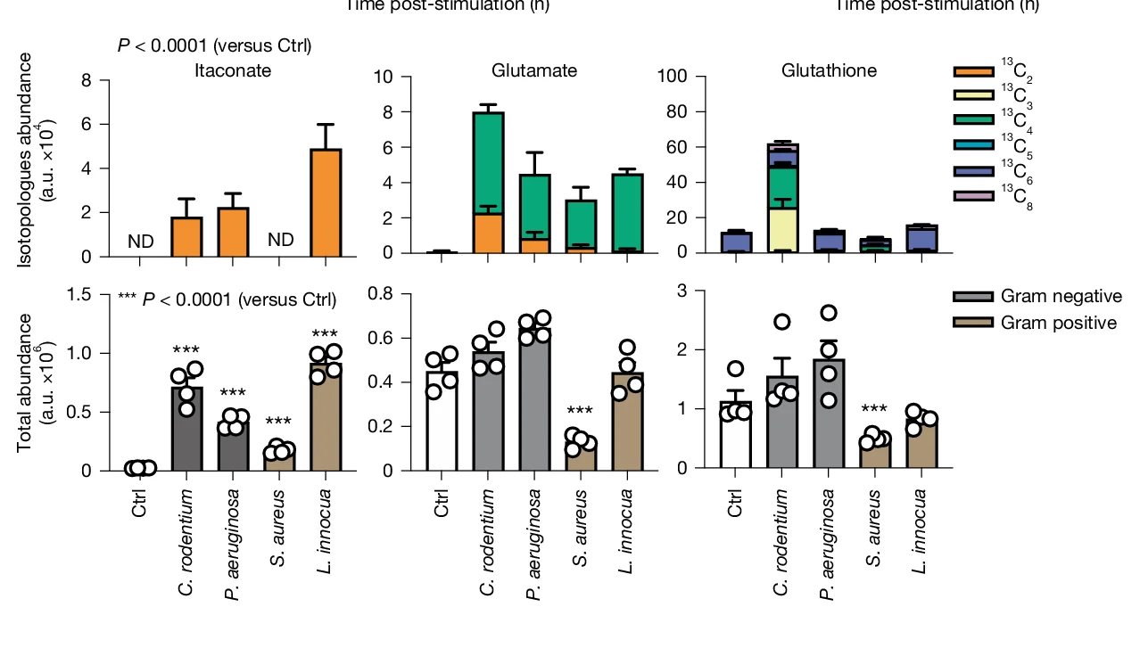 Open access visualization of Bar Plot, Stacked Bar Plot, Error Bars, Metabolites, BMDMs