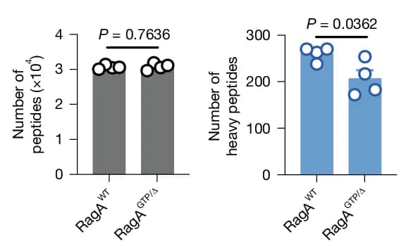 Open access visualization of Bar Plot, Scatter Plot, Macrophage-specific Total Peptides, Heavy Peptides, LC–MS