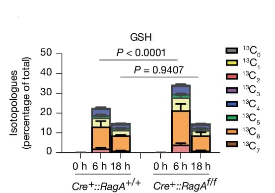 Open access visualization of Stacked Bar Plot, Error Bars, Fractional Labelling, GSH, Cre + ::RagA f/f BMDMs