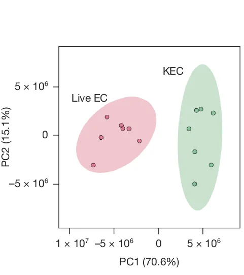 Open access visualization of Scatter Plot, PCA, Principal Component Analysis, Metabolomic Analysis, Metabolites