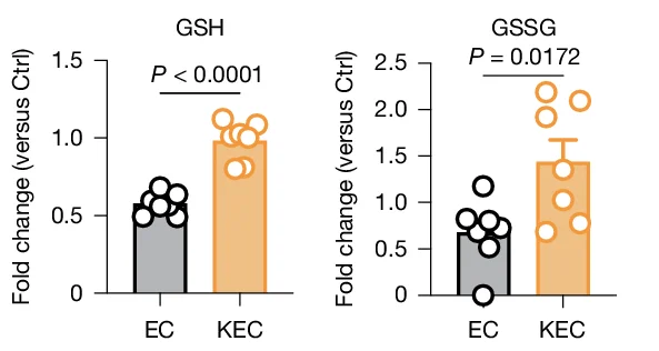 Open access visualization of Bar Plot, Error Bars, Scatter Plot, Intracellular Concentrations, Metabolites