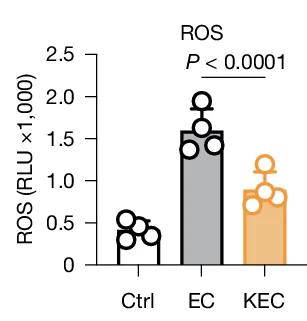 Open access visualization of Bar Plot, Scatter Plot, Error Bars, ROS Production, BMDMs