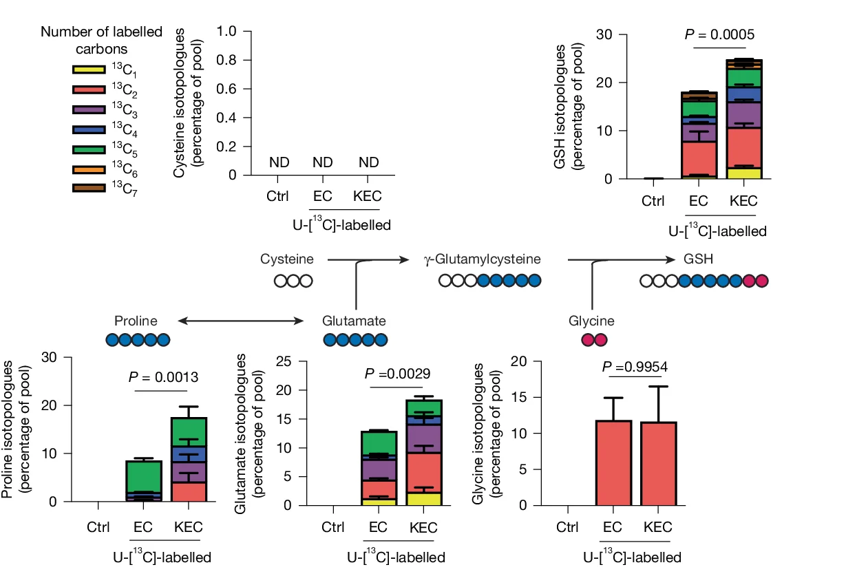 Open access visualization of Stacked Bar Plot, Error Bars, Illustration, Fractional Labelling, Metabolites