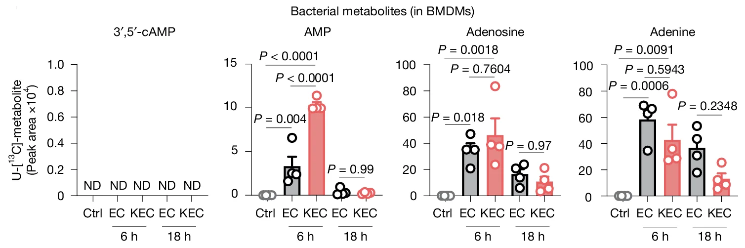 Open access visualization of Bar Plot, Error Bars, Scatter Plot, Intracellular Abundance, Bacterial Metabolites