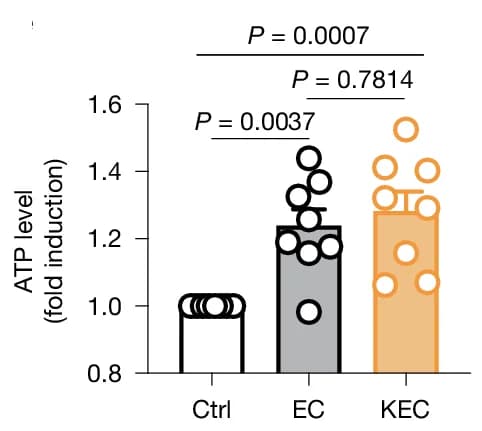 Open access visualization of Bar Plot, Error Bars, Scatter Plot, Intracellular ATP, BMDMs