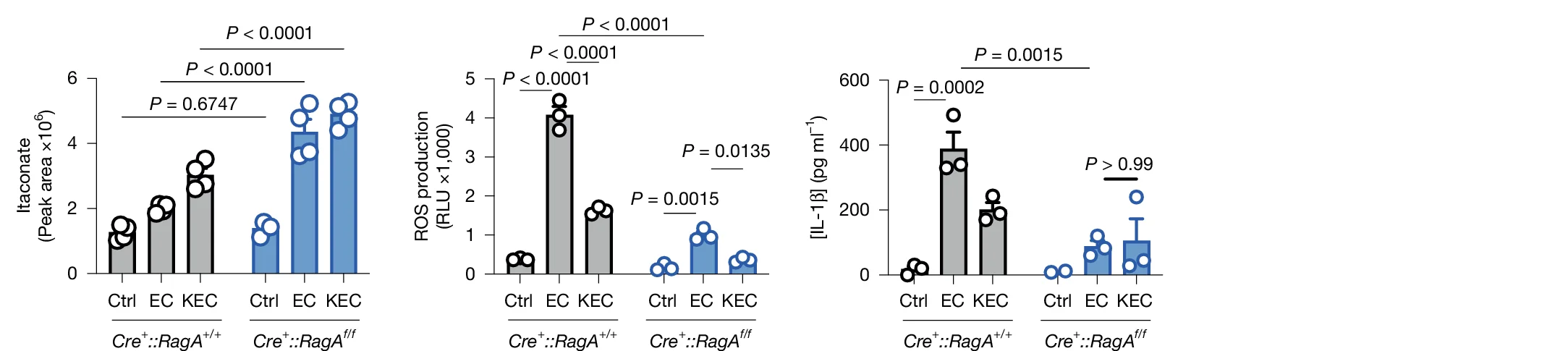 Open access visualization of Bar Plot, Error Bars, Scatter Plot, Itaconate Abundance, ROS Production