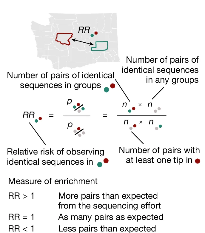 Open access visualization of Geo Map, Relative Risk, Sequence Pairs, Subgroups, Enrichment