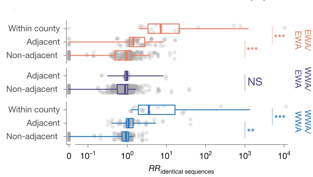 Open access visualization of Box Plot, Scatter Plot, RR, Identical Sequences, Counties
