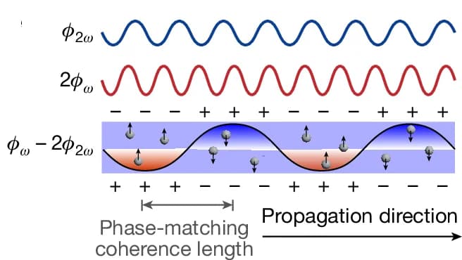 Open access visualization of Line Plot, Illustration, Charge Distribution, Optical Signals, Space-Charge Accumulation