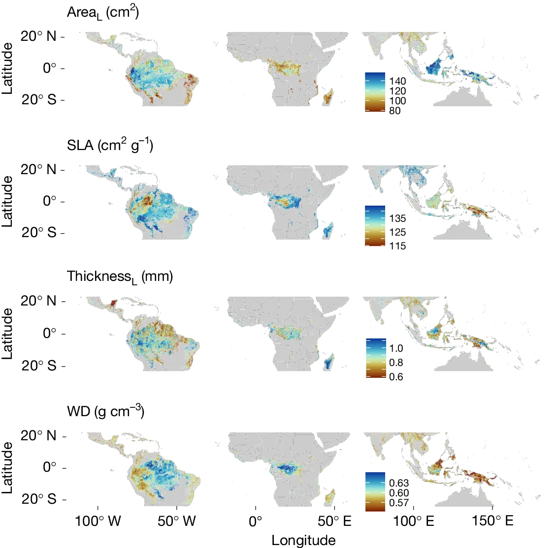 Open access visualization of Geo Map, CWM, Morphological traits, Structural traits, Spatial distribution