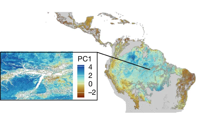 Open access visualization of Geo Map, Heatmap, Principal Component, Tropical Forests, Trait Syndromes