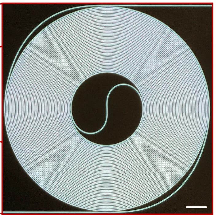Open access visualization of Photo, Optical Microscope Image, Spiral Waveguide, Waveguide Length