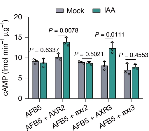 Open access visualization of Bar Plot, Error Bars, Clustered, Scatter Plot, Aux/IAA Proteins