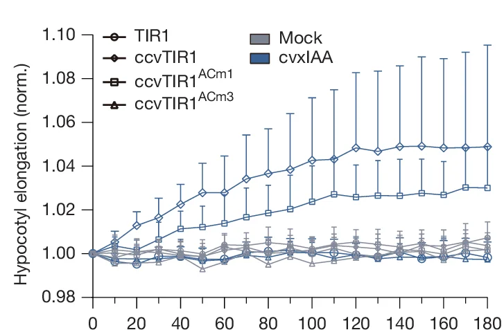 Open access visualization of Line Plot, Error Bars, Elongation Kinetics, Hypocotyl Segments, IAA