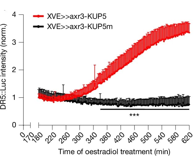 Open access visualization of Line Plot, Error Bars, Quantification, Root