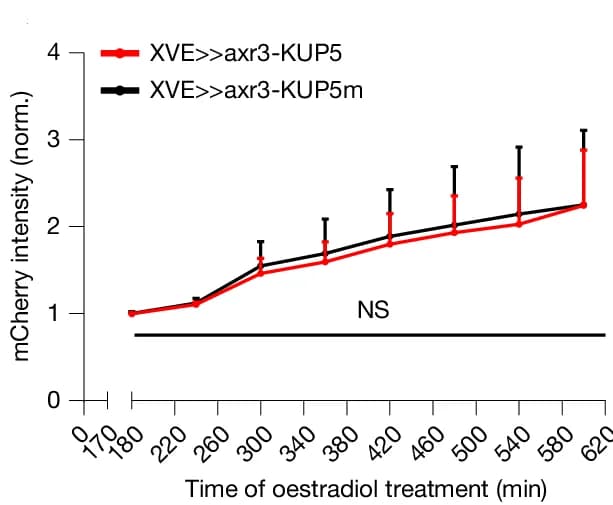 Open access visualization of Line Plot, Error Bars, Fluorescence Intensity, Root