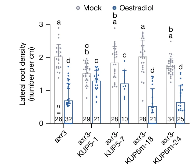 Open access visualization of Bar Plot, Error Bars, Scatter Plot, Lateral Root Density, Seedlings