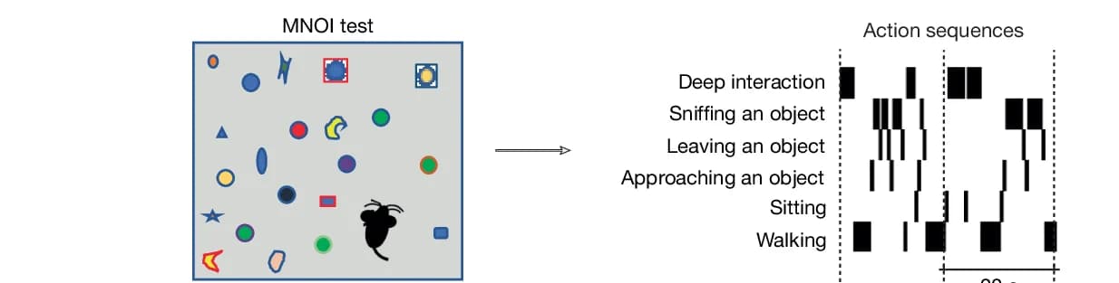 Open access visualization of Illustration, Workflow, MNOI Test, Annotated Actions, Interaction States