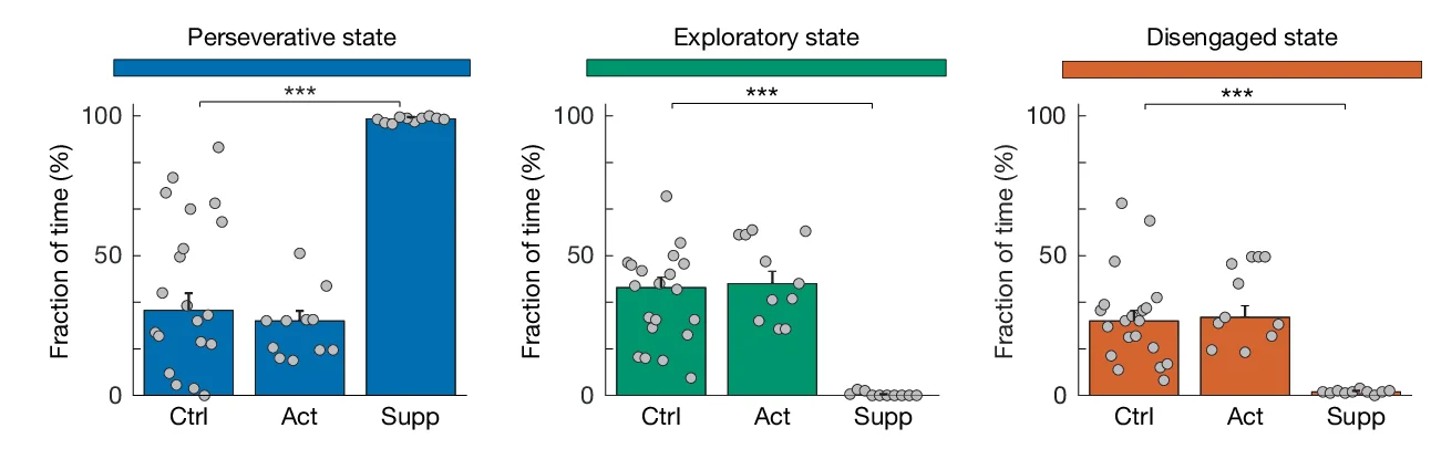 Open access visualization of Bar Plot, Error Bars, Scatter Plot, Time Spent, Interaction State