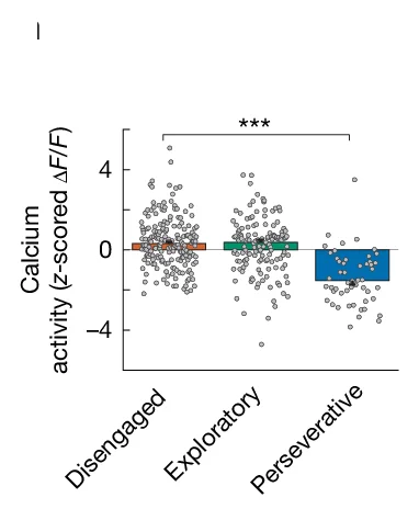 Open access visualization of Bar Plot, Scatter Plot, Calcium Activity, VGAT + MRN Neurons, Disengaged States