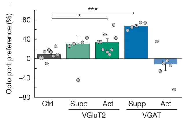 Open access visualization of Bar Plot, Error Bars, Scatter Plot, Opto-linked nose-poke, tdTomato control Mice