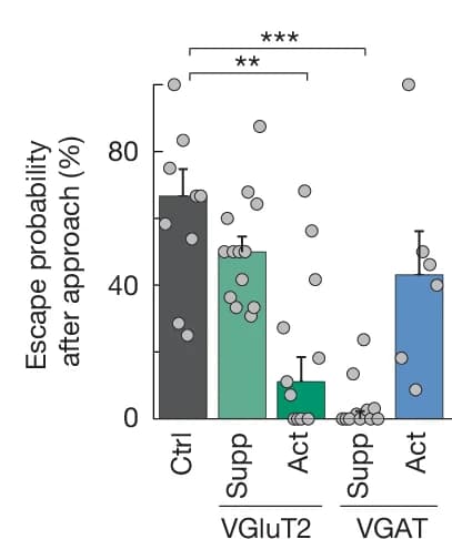 Open access visualization of Bar Plot, Error Bars, Scatter Plot, Escape Probability, TMT-coated Object