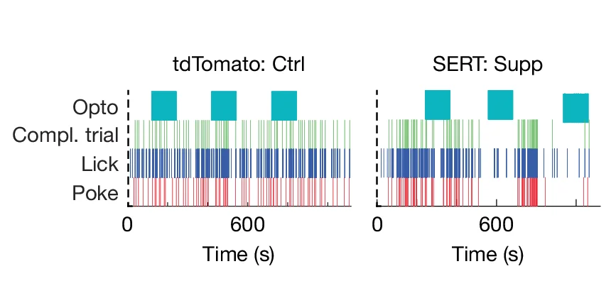 Open access visualization of Line Plot, Line Step, Task Performance, Nose Poke, Licks