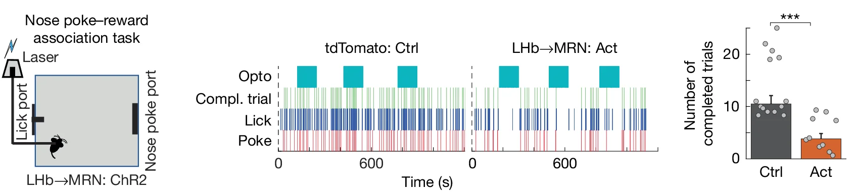 Open access visualization of Bar Plot, Error Bars, Scatter Plot, Nose-Poke Reward Association Task, LHb Input