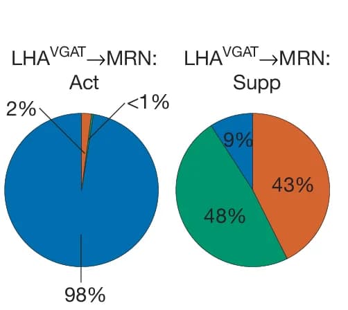 Open access visualization of Pie Chart, MNOI Test, Interaction States, Activation, Suppression