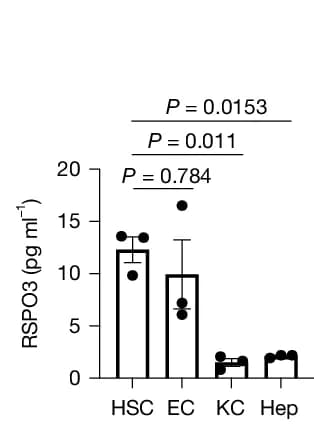 Open access visualization of Bar Plot, Error Bars, RSPO3 ELISA, Mouse HSCs, ECs