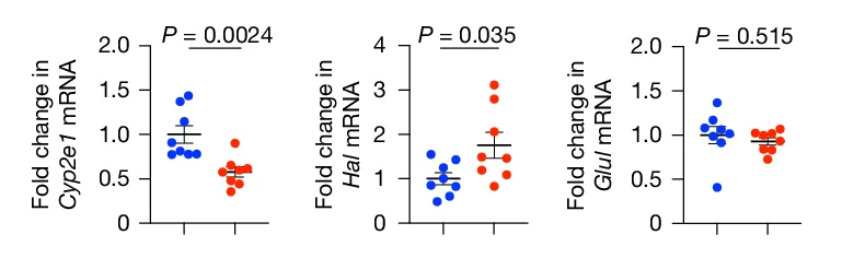 Open access visualization of Scatter Plot, Error Bars, WNT-Target Genes, qPCR, Mouse Livers