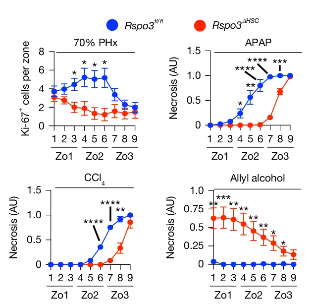 Open access visualization of Line Plot, Error Bars, Zonal Quantification, Ki-67 Positive Cells, Necrosis