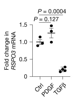 Open access visualization of Scatter Plot, qPCR analysis, RSPO3, PDGF, TGFβ