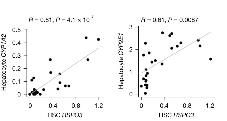 Open access visualization of Scatter Plot, Regression Plot, HSC RSPO3, Hepatocyte CYP1A2, Hepatocyte CYP2E1