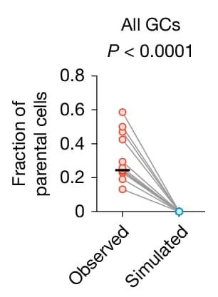 Open access visualization of Scatter Plot, Line Plot, Error Bars, Parental Cells, Germinal Centers