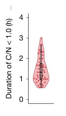 Open access visualization of Violin Plot, Box Plot, Scatter Plot, C/N Ratio, S-Phase Entry