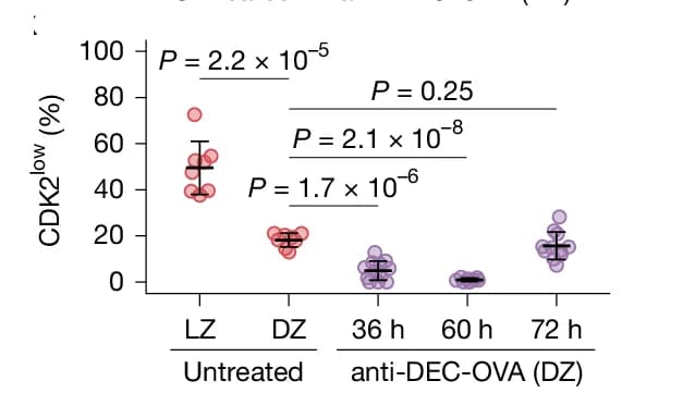 Open access visualization of Scatter Plot, Error Bars, CDK2 Low Cells, LZ Cells, DZ Cells