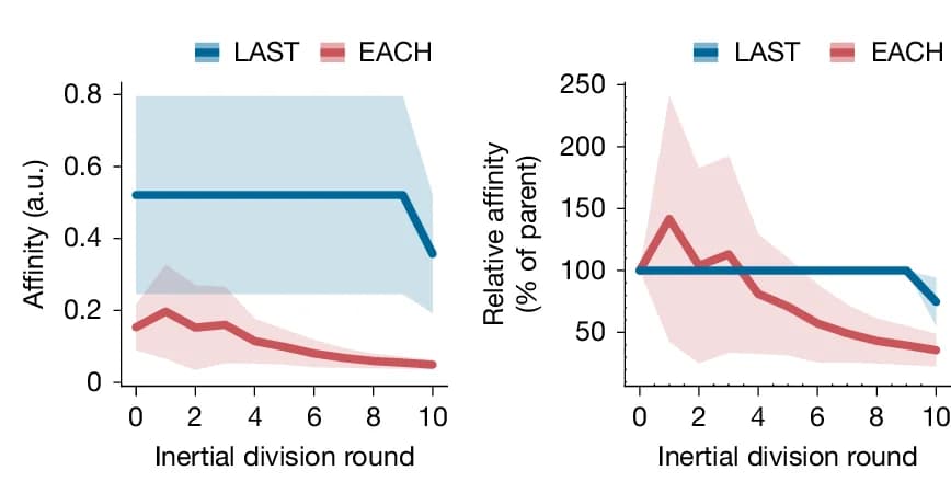 Open access visualization of Line Plot, Error Bars, Affinity, GC B Cells, Phylogeny