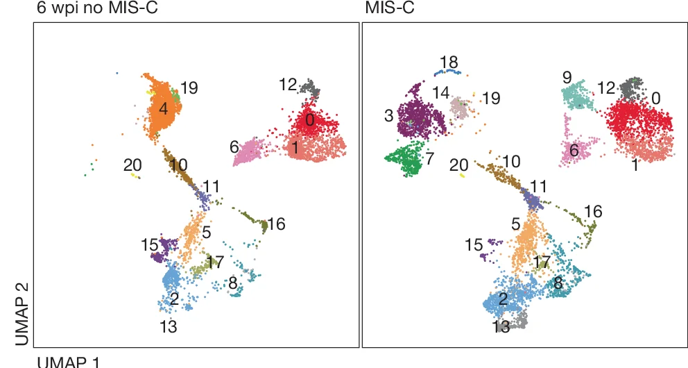 Open access visualization of UMAP, scRNA-seq, PBMCs, Monocytes, HLA-DR hi CD38 + T Cells