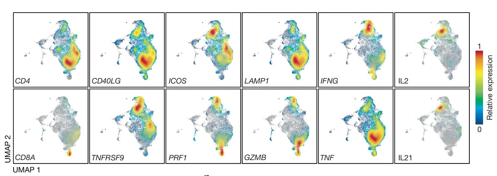 Open access visualization of UMAP, Scatter Plot, Gene Expression, Antigen-Specific T Cells, TRVB11-2+ T Cells