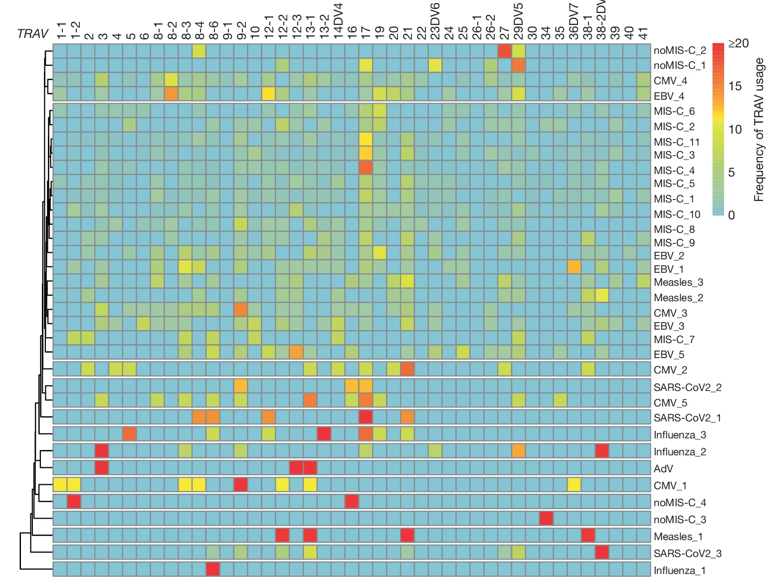 Open access visualization of Heatmap, Clustered, TCR Repertoires, EBV, CMV