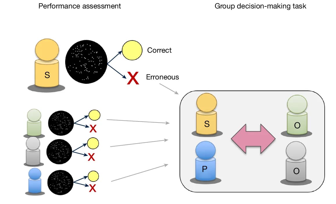 Open access visualization of Workflow, Illustration, Performance Data, Perceptual Task, fMRI