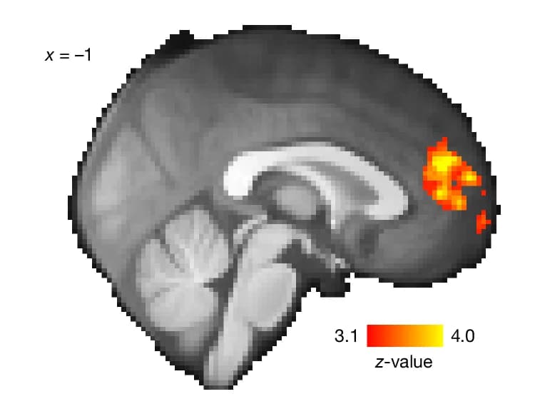 Open access visualization of Heatmap, dmPFC, Basis Functions, S-Position, fMRI