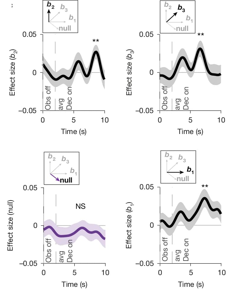 Open access visualization of Line Plot, Error Bars, ROI, Timecourse, Basis Functions