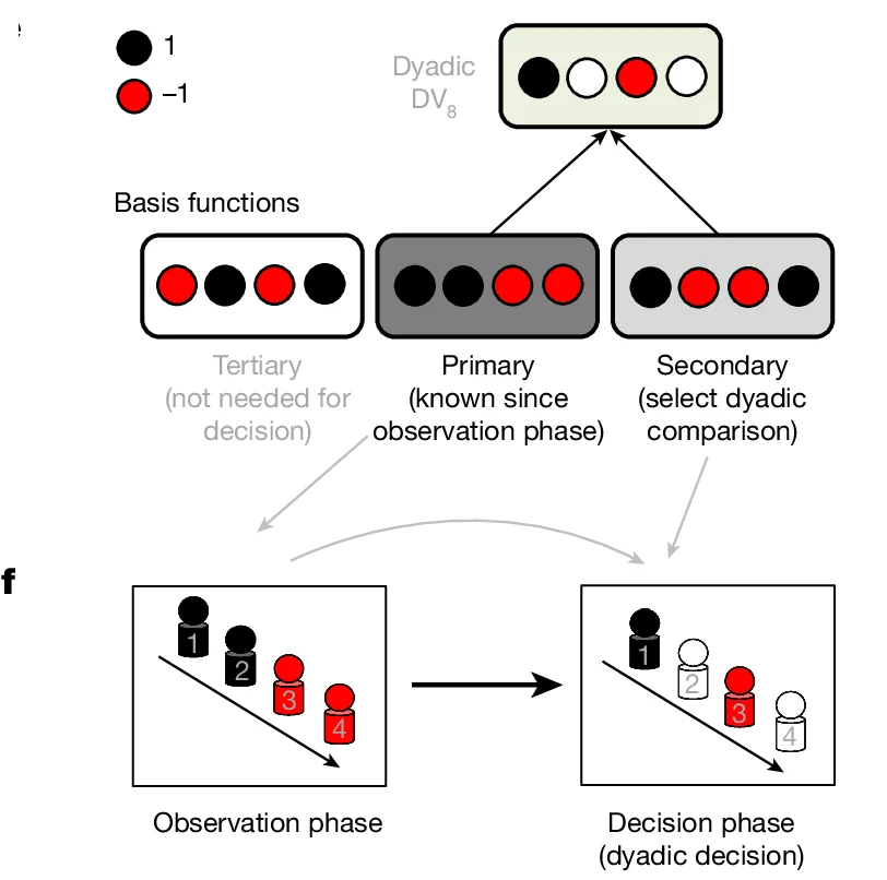 Open access visualization of Workflow, Flowchart, Illustration, Basis Functions, Primary